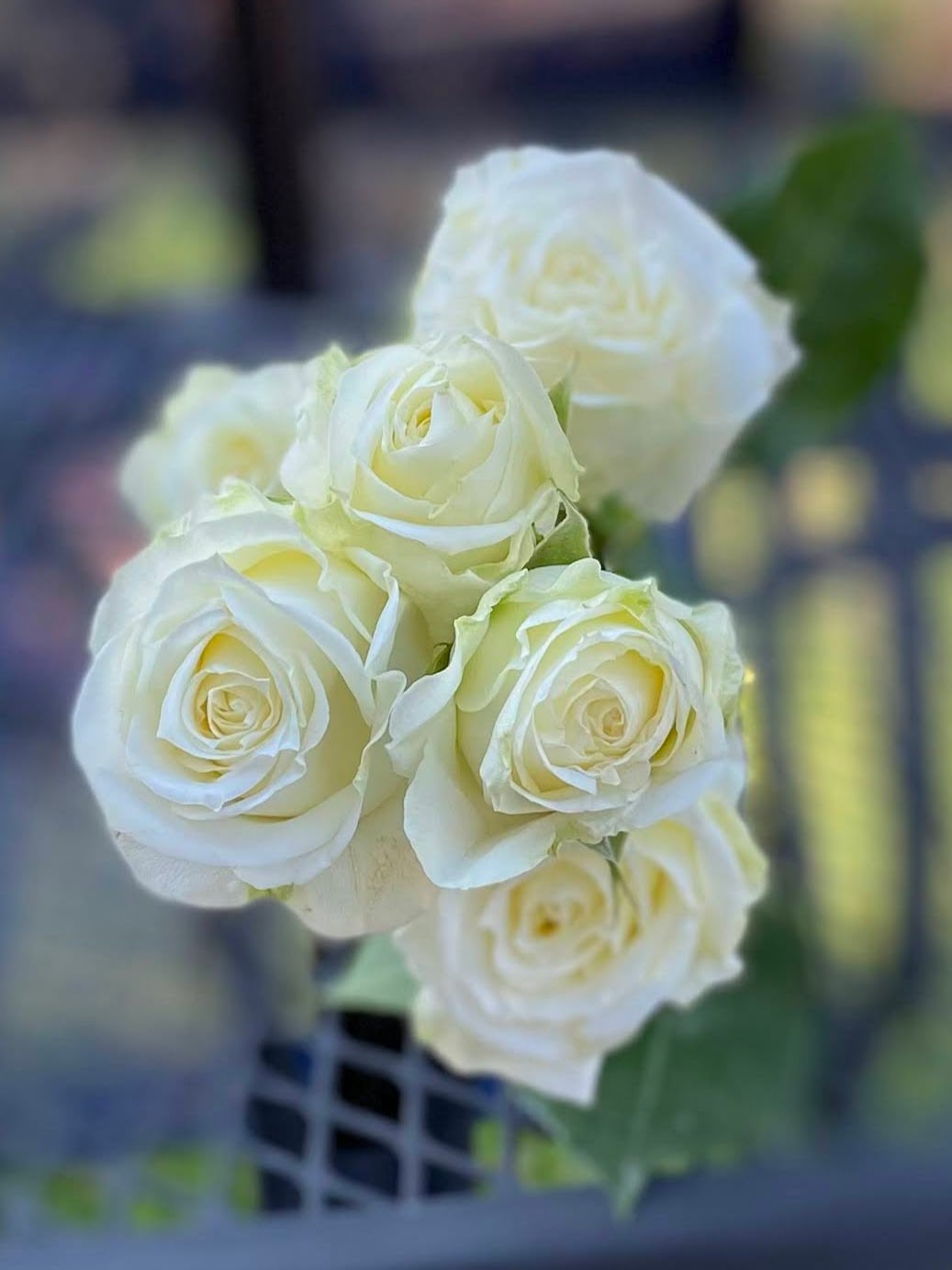 White/Ivory Spray Rose